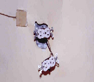 reallightelectrical.jpg